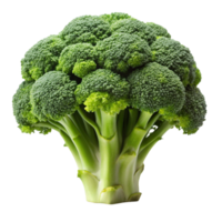 Fresh green broccoli head isolated on Transparent Background, showing vibrant color and crisp texture of healthy florets png
