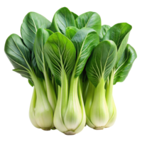 Close up of fresh bok choy leaves and stems, isolated against a Transparent Background, highlighting their natural texture and color png