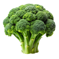 Raw green broccoli head displayed on a clean Transparent Background, perfect for diet and nutritious eating themes png