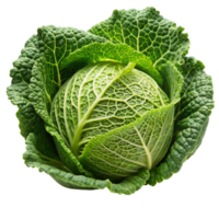 Whole savoy cabbage head displayed on a clean Transparent Background, showcasing intricate leaf patterns png