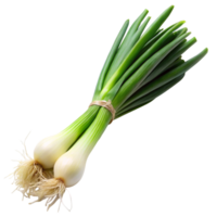 Close up of whole green onions, displayed on a clean white surface, emphasizing their vibrant color and crisp texture png
