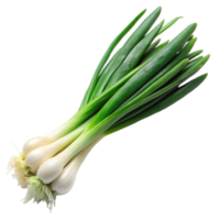 Bright green onion bunch with roots, highlighting its freshness and versatility in cooking, isolated on Transparent Background png