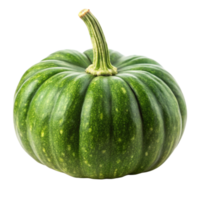 Bright green pumpkin with a sturdy stem, highlighting its freshness and smooth texture, isolated on Transparent Background png