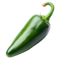 a single green jalapeno chili, displayed on a clean white surface, emphasizing natural color and texture png