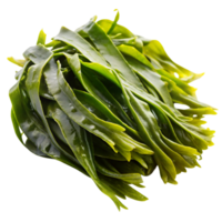 Close up of vibrant green kelp, displayed on a clean white surface, emphasizing natural texture and glossy appearance png