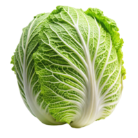 Close up of a vibrant green Napa cabbage head, displayed on a clean white surface, highlighting freshness and texture png