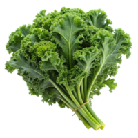 Close up of vibrant curly kale leaves, displayed on a clean white surface, emphasizing texture and freshness png