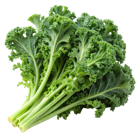 Green curly kale bundle on Transparent Background, highlighting crisp texture and rich color, ideal for health and nutrition themes png