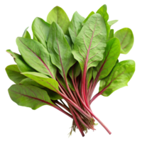 Vibrant bunch of red veined sorrel greens displayed on white surface, emphasizing freshness and natural color png