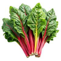 Freshly harvested Swiss chard bunch with bright red stems, isolated on white, emphasizing vibrant color and nutrition png