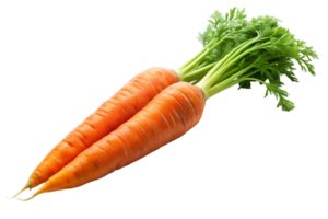 Healthy fresh carrots with leafy tops displayed on a clean white background png