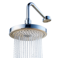 elegante pioggia soffione doccia con regolabile braccio e acqua fluire, offerta un' moderno e rinfrescante doccia Esperienza png
