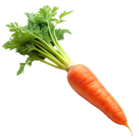 Single carrot with lush green top in high resolution, ideal for culinary and nutrition themed projects png