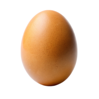 Organic brown egg with smooth, speckled shell, representing freshness, protein, and farm to table concepts. png