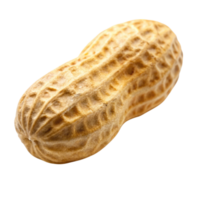 Close up of a single peanut in its shell, showcasing detailed texture and earthy tones, ideal for nutrition concepts. png