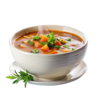 Freshly prepared hot soup with a delicious mix of vegetables, served with a hint of fresh parsley png