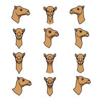 Set of Camel Head Illustrations in Multiple Perspectives vector
