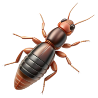 captivating passionate gothic Earwig, cerci pincers at the abdomen tip, detailebody, top-down view, soft lighting, minimalist, with transparent background,high-resolution product photography 4K png