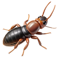 immaculate exemplary Earwig with cerci visible, dark brown body, detailelegs, side view, studio lighting, photorealistic, isolateon transparent background,high-resolution product photography png
