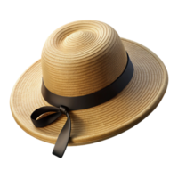fascinating gothic A wide-brimmestraw hat with a black ribbon, woven texture, soft lighting, top-down view, isolateon transparent background,high-resolution product photography detailed png