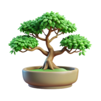 mesmerizing sought-after Elm bonsai tree with delicate branching, light green leaves, rough bark, soft lighting, top-down view, isolateon transparent background,high-resolution product photography png