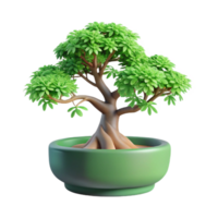 captivating signature Elm bonsai tree with delicate branching, light green leaves, rough bark, soft lighting, top-down view, isolateon transparent background,high-resolution product photography png