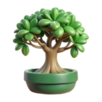 calm striking Jade bonsai tree with thick, fleshy leaves, woody stem, glossy finish, studio lighting, front view, isolateon transparent background,high-resolution product photography high resolution png