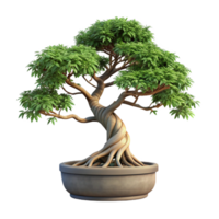 intense vibrant Chinese elm bonsai tree with exposeroots, small leaves, rough bark, studio lighting, side view, isolateon transparent background,high-resolution product photography original png