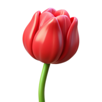 extraordinary distinctive Single retulip with closebud, long stem, glossy finish, studio lighting, front view, isolateon transparent background,high-resolution product photography png