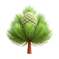 standout bohemian Eastern white pine tree with soft needles, straight trunk, smooth bark, studio lighting, top-down view, isolateon transparent background,high-resolution product photography luxury png
