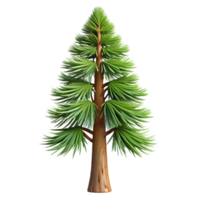 exemplary impressionist Jack pine tree with short needles, thin trunk, weatherebark, studio lighting, isolateon transparent background,high-resolution product photography impeccable png