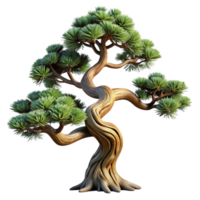 elegant victorian Bristlecone pine tree with twistebranches, weatherebark, dramatic lighting, side view, isolateon transparent background,high-resolution product photography 4K png