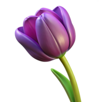hypnotic baroque Single purple tulip with variegatepetals, long stem, studio lighting, top-down view, isolateon transparent background,high-resolution product photography museum quality png