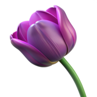 magnificent memorable Single purple tulip with variegatepetals, long stem, studio lighting, top-down view, isolateon transparent background,high-resolution product photography png