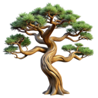 dazzling energetic renaissance Bristlecone pine tree with twistebranches, weatherebark, dramatic lighting, side view, isolateon transparent background,high-resolution product photography precision png