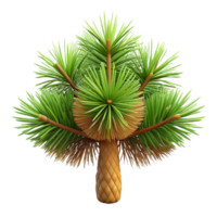 picturesque artistic Slash pine tree with long needles, flaky bark, soft lighting, top-down view, isolateon transparent background,high-resolution product photography professional png