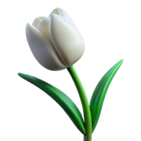 dramatic glorious Single white tulip with pointepetals, green stem, dramatic lighting, isolateon transparent background,high-resolution product photography crisp png