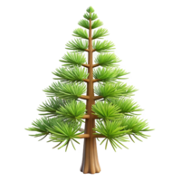 passionate serene Jack pine tree with short needles, thin trunk, weatherebark, studio lighting, isolateon transparent background,high-resolution product photography premium png
