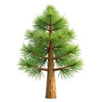acclaimeindustrial Jack pine tree with short needles, thin trunk, weatherebark, studio lighting, isolateon transparent background,high-resolution product photography elite png
