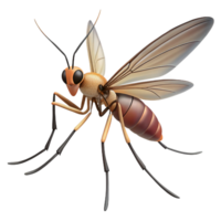 stunning avant-garde Mosquito with long proboscis, delicate wings, thin legs, soft lighting, front view, with transparent background,high-resolution product photography 4K png