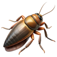majestic geometric Cockroach with flattenebody, long antennae, glossy exoskeleton, soft lighting, with transparent background,high-resolution product photography genuine png
