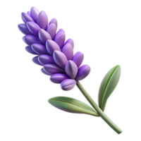 serene memorable Single stem of lavender with multiple purple flowers, detaileleaves anstems, soft lighting, isolateon transparent background,high-resolution product photography png