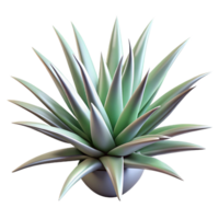 covetemodern Single, spiky air plant Tillandsia, silvery-green, detailetexture, dramatic lighting, front view, with transparent background,high-resolution product photography 4K png