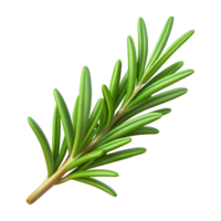 pristine elegant Single, sprig of rosemary with needle-like leaves, studio lighting, top-down view, with transparent background,high-resolution product photography 4K png