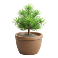 glorious coveteMiniature pine tree in a small pot, realistic needles, rough bark, side view, studio lighting, product shot, isolateon transparent background,high-resolution product photography png