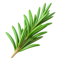 distinctive classic Sprig of rosemary, fresh green needles, detailetexture, studio lighting, top-down view, product shot, isolateon transparent background,high-resolution product photography precision png