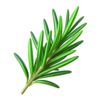 ethereal majestic Sprig of rosemary, fresh green needles, detailetexture, studio lighting, top-down view, product shot, isolateon transparent background,high-resolution product photography original png