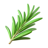 calm alluring Sprig of rosemary, fresh green needles, detailetexture, studio lighting, top-down view, product shot, isolateon transparent background,high-resolution product photography flawless png