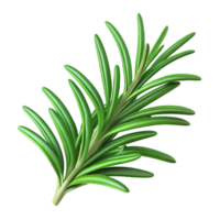 energetic magnificent Sprig of rosemary, fresh green needles, detailetexture, studio lighting, top-down view, product shot, isolateon transparent background,high-resolution product photography 8K png