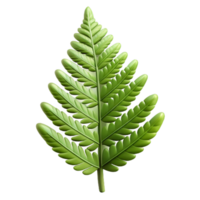 dramatic dazzling Fern frond, intricate leaf structure, delicate texture, soft lighting, front view, product shot, isolateon transparent background,high-resolution product photography crisp png